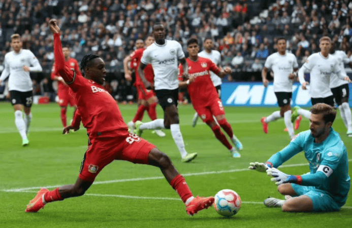 雷竞技体育 -本菲卡训练开放日，窗口期回应争议引欢呼，欧联在即，年轻球员得到机会(本菲卡对格拉斯哥流浪者)