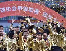 武汉三镇迎德甲关键赛，窗口期更衣室发声，引发热议，赛程密集仍需轮换的简单介绍