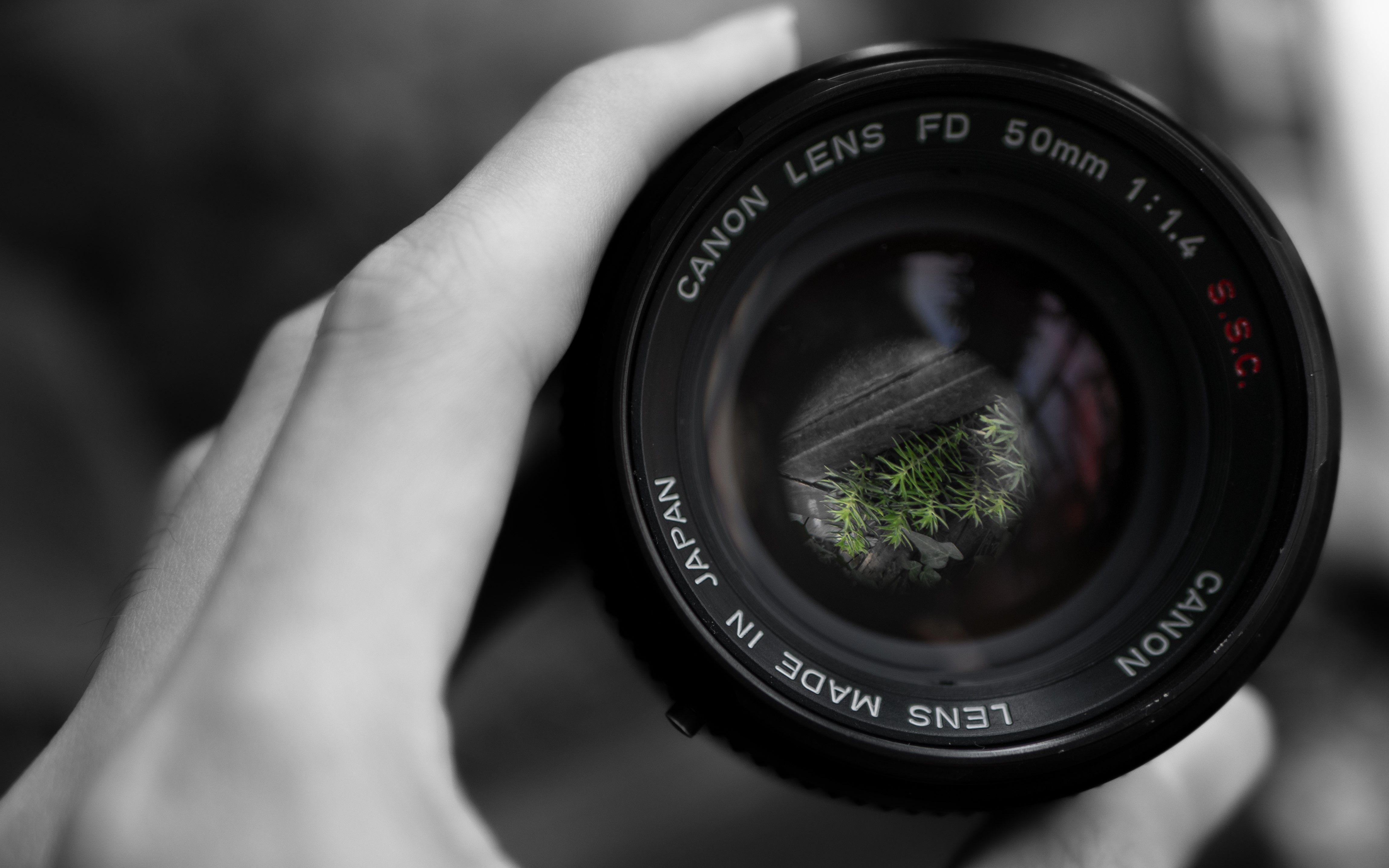 ╜f(拉偏架什么意思)